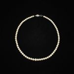 1334 2043 Pärlcollier